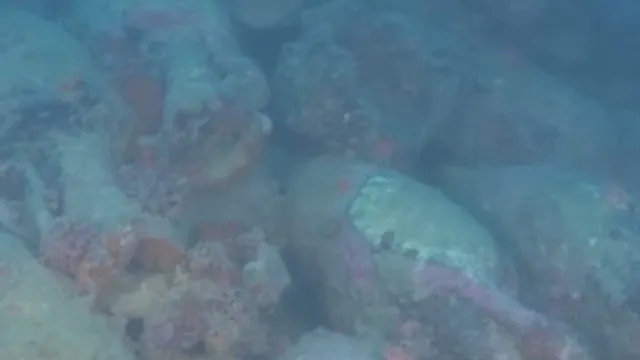 
                    Navio naufragado da época romana descoberto em Itália
                