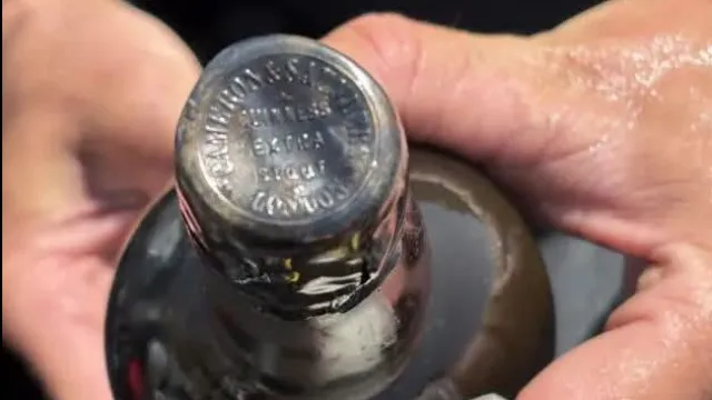 
                    Cerveja com 162 anos encontrada no fundo do mar (e pode ainda estar boa)
                