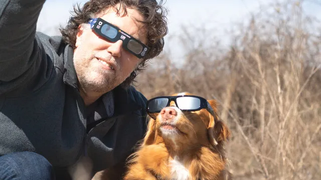 Os patudos vão ficar cegos? Eis o que pode acontecer durante o eclipse