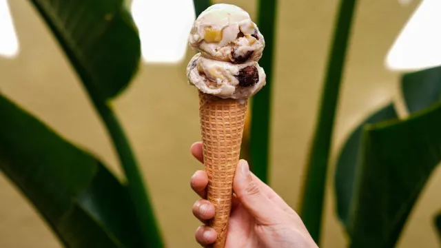 
                    Melhores gelados vegan da Europa? Portugal tinha de estar nesta lista
                
