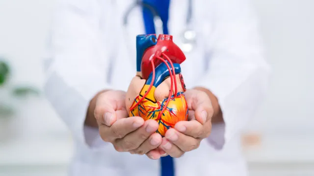 Cardiologistas concordam: Este alimento comum Ã© Ã³timo para coraÃ§Ã£o
