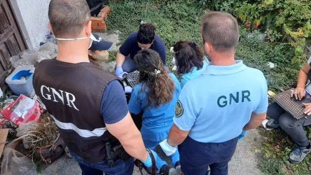 GNR apanha homem a viver com mais de 40 gatos (alguns mortos) em Gaia