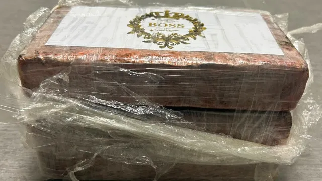 
                    Trio detido por tráfico de droga em Lisboa. PJ aprendeu-lhes 30 mil euros
                