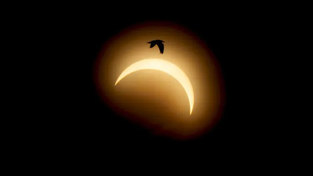 
                    Dia para não esquecer! Se não viu eclipse (ou quer rever), temos as fotos
                