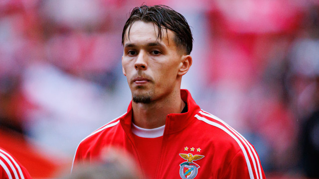 Dedic já deu o 'sim'. Os milhões em discussão entre Benfica e Newcastle