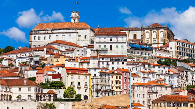 
                    Feira das Cebolas regressa ao coração de Coimbra com muita animação
                