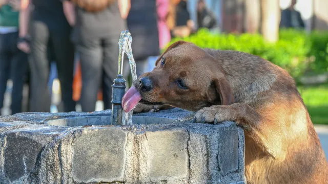 Hoje há dois distritos sob aviso devido ao calor. Amanhã serão (bem) mais