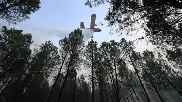 Fogos atingem FranÃ§a, BÃ©lgica e BalcÃ£s e queimam milhares de hectares