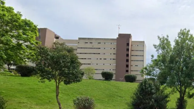 
                    Mordido por cobra em Abrantes teve de tomar antídoto: E se for atacado?
                