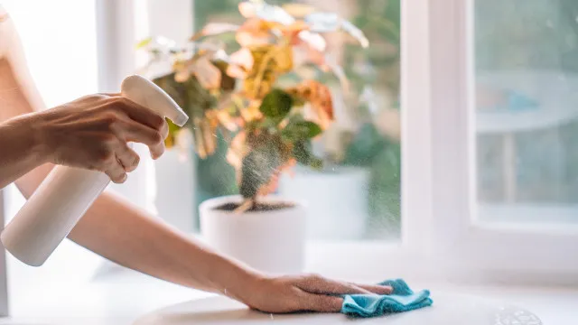 
                    7 misturas caseiras de limpeza que vão deixar a sua casa impecável
                