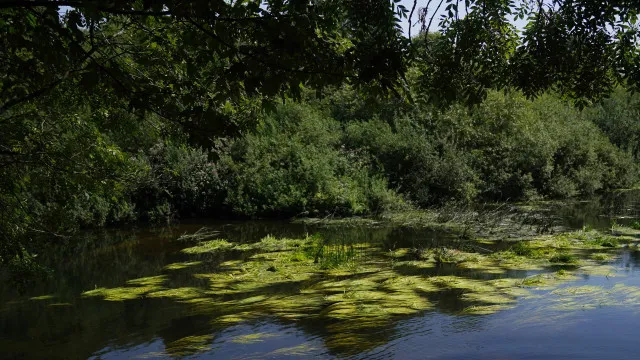 
                    Menino de 12 anos morre afogado em rio no nordeste de Londres
                