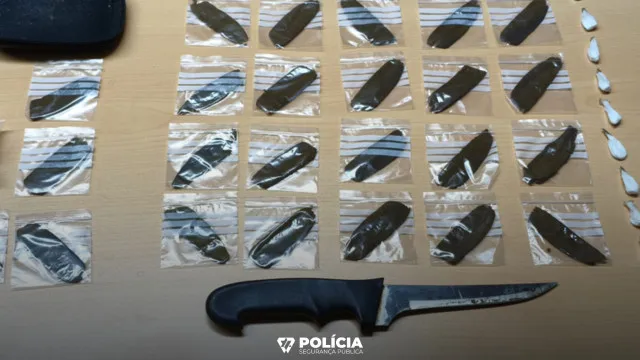 
                    PSP identifica mais de 70 pessoas e apreende arma e droga em Sintra
                
