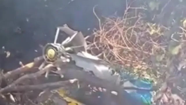 
                    Quem são as vítimas mortais da queda de helicóptero em safari no Quénia?
                