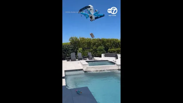 
                    Mergulho inesperado. Encomenda da Amazon acaba na piscina em vídeo viral
                