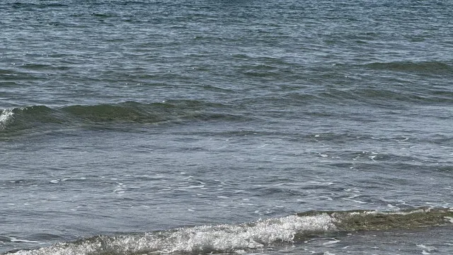 
                    Aeronave amara de emergência em plena praia na Florida. Piloto saiu ilesa
                
