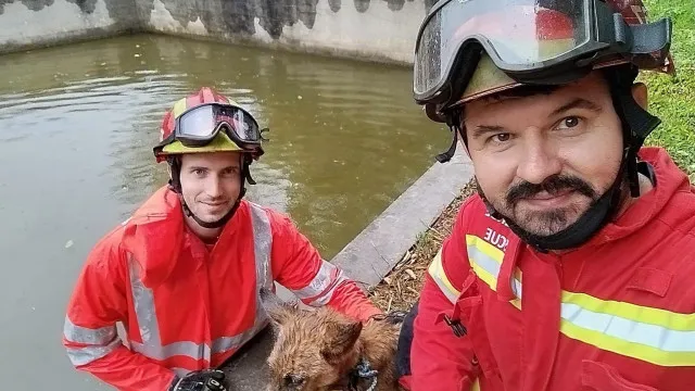 
                    Bombeiros de Esposende salvam dois cães em menos de 48h. 