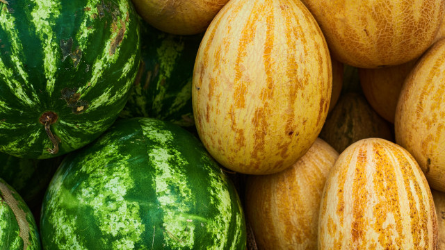 Melão ou melancia? Nutricionistas revelam a melhor fruta para a dieta