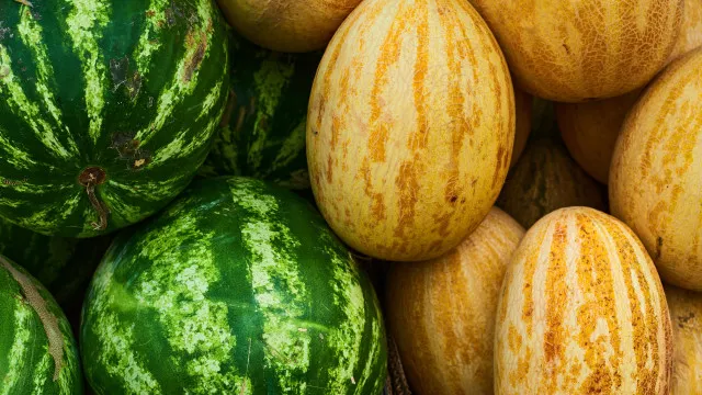 
                    Melão ou melancia? Nutricionistas revelam a melhor fruta para a dieta
                
