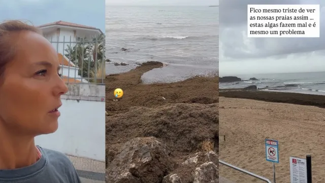 
                    Praias de Cascais repletas de algas? 