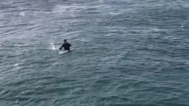 
                    Surfista em 