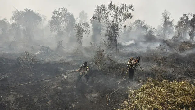 
                    Milhões em risco de infeção respiratória na Indonésia devido a incêndios
                