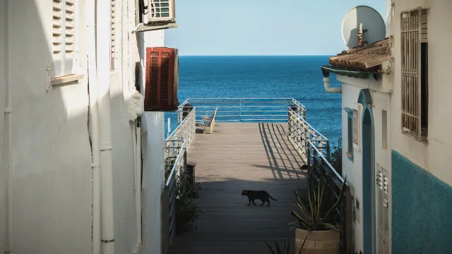 
                    Agosto despede-se com fim de semana de verão. Eis as previsões
                