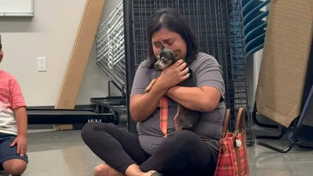
                    Cadela desaparecida durante 12 anos regressa a casa. 