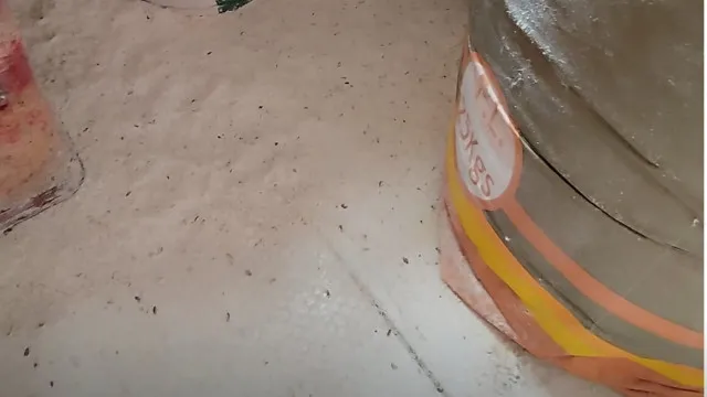 
                    Veja. Comida 