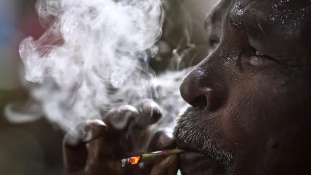 
                    Produção de tabaco aumenta em África e OMS deixa alerta
                