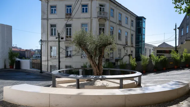 
                    Elevador da Glória. Um ano após a tragédia, Lisboa homenageia vítimas
                