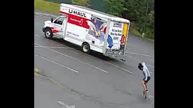 
                    Animal mistério aterroriza bairro norte-americano. Já atacou três pessoas
                