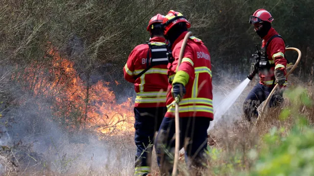 
                    Quase 200 operacionais e cinco meios aéreos combatem fogo em Porto de Mós
                
