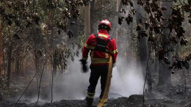 
                    Governo apela à consciência individual para prevenir fogos
                