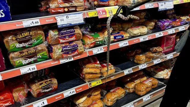 
                    Cobra encontrada na secção do pão em supermercado em Inglaterra
                