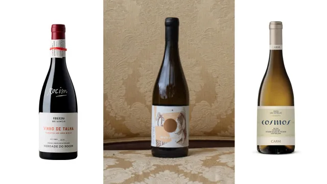 
                     Há mais de 25 novos vinhos para renovar a garrafeira. Custam desde 2,69€
                