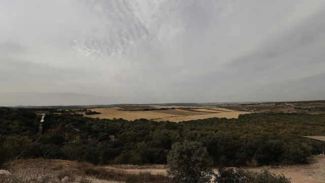 
                    Encontrados 1.500 fósseis de animais em acampamento neandertal em Burgos
                