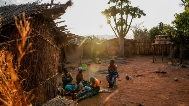 
                    Moçambique: EUA desaconselham viagens ao Niassa após ataque a acampamento
                