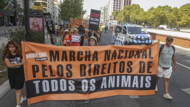 
                    Centenas manifestaram-se em Lisboa pelos direitos 
