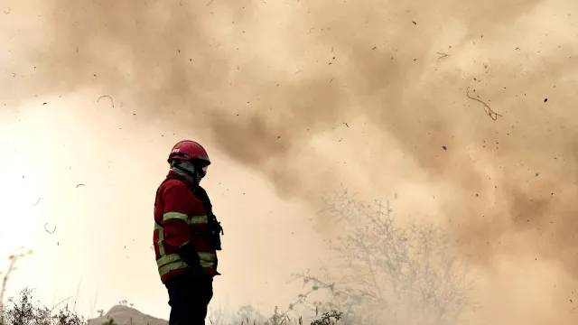 
                    Fogo em Estremoz mobiliza mais de 260 operacionais
                