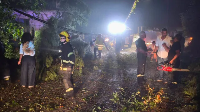 
                    Mau tempo provoca estragos em Albergaria-a-Velha e Oliveira de Azeméis
                