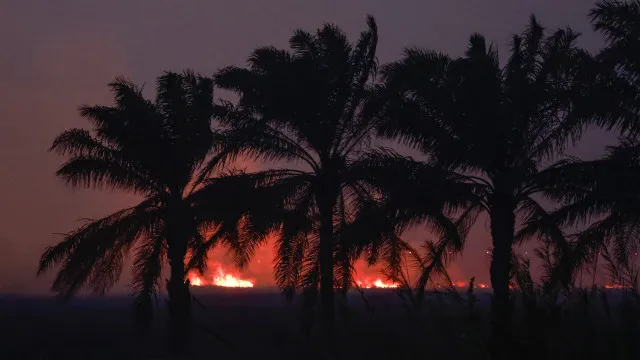 
                    Governo timorense e ONU discutem riscos associados ao El Niño
                