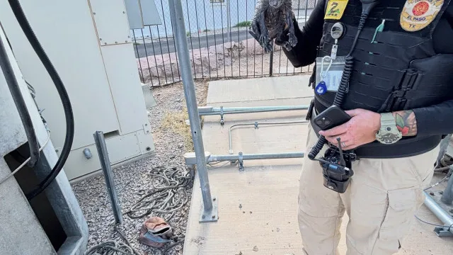 
                    Gato bebé resgatado de canalização a 6 metros de profundidade no Texas
                