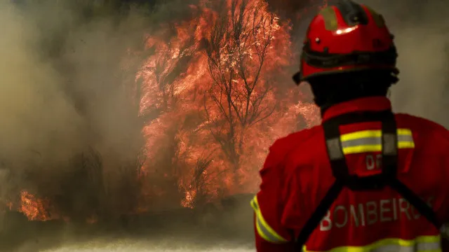 
                    Fogo em Beja mobiliza quase 100 operacionais
                