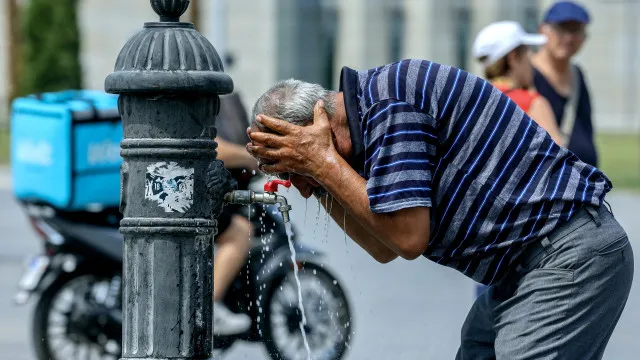 
                    Organizações da sociedade civil pedem à UE legislação ambiental urgente
                