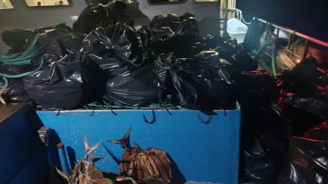 
                    Mais de duas toneladas de atum-gaiado seco apreendidas na Madeira
                