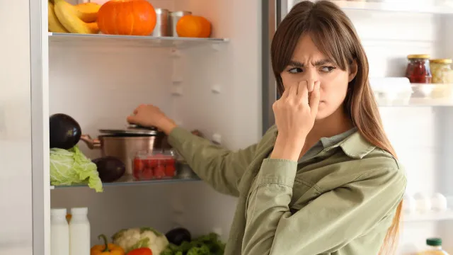 
                    8 maus odores em casa que são muito fáceis de eliminar
                