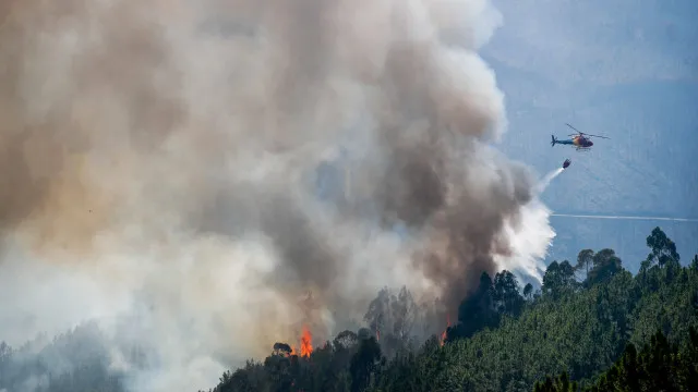 
                    Fogo na Atalaia, Proença-a-Nova, entrou em resolução
                