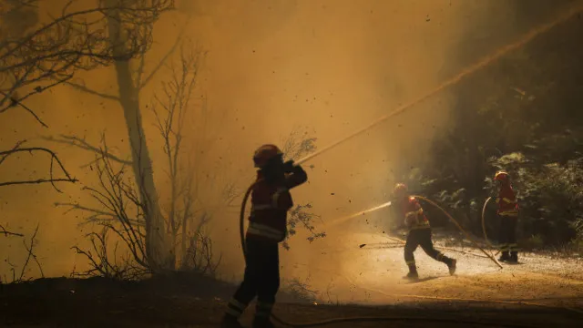 
                    Fogo em Portel com quatro frentes ativas e mais de 310 operacionais
                