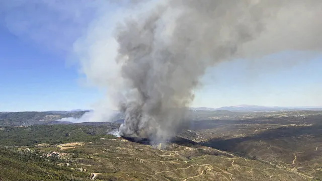 
                    Fogo em Proença-a-Nova em fase de resolução
                