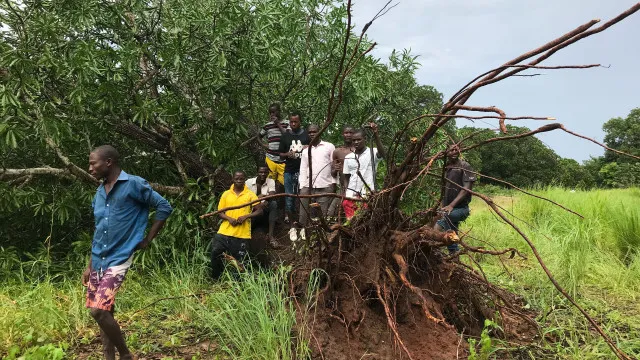 
                    Surto de sarampo atinge quase 1.500 pessoas em Moçambique
                